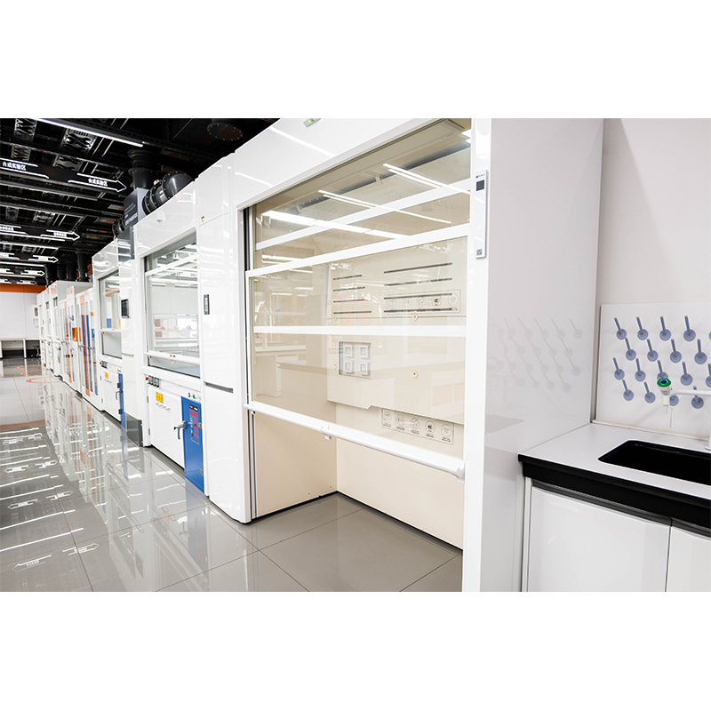 Wanshulin Laboratory Floor-Standing Fume Hood
