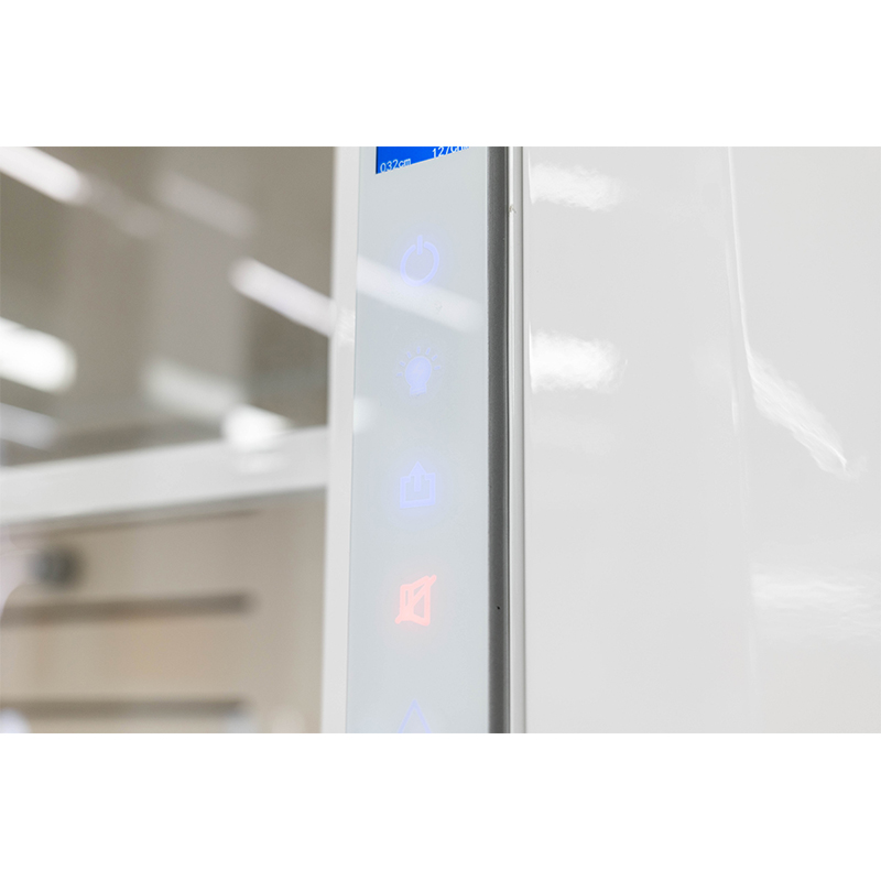 Wanshulin Laboratory Benchtop Fume Hood