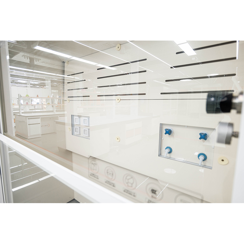 Wanshulin Laboratory Floor-Standing Fume Hood