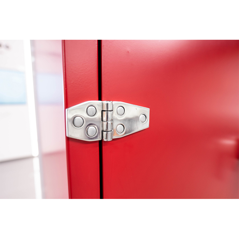 Wanshulin Double Door Flammable And Explosive Safety Cabinet