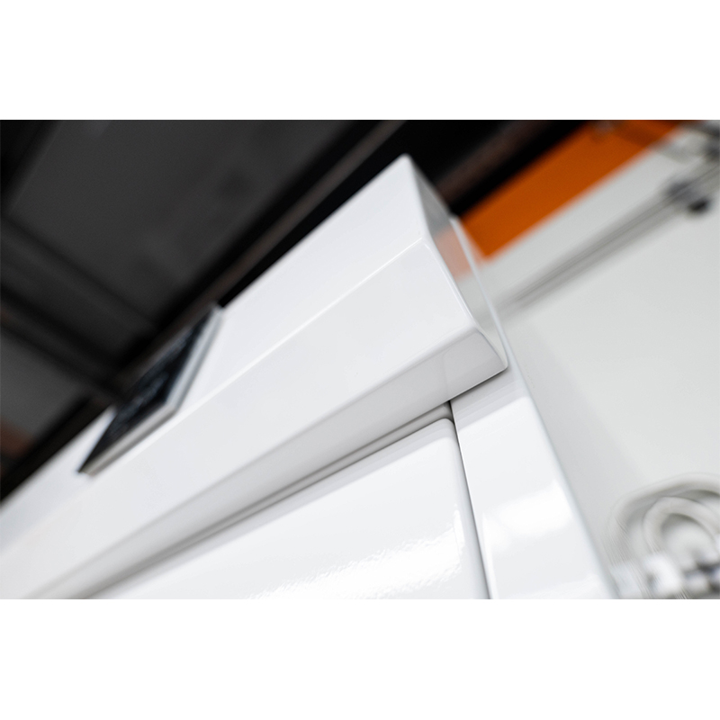 Wanshulin Laboratory All-Steel Gas Cylinder Cabinet