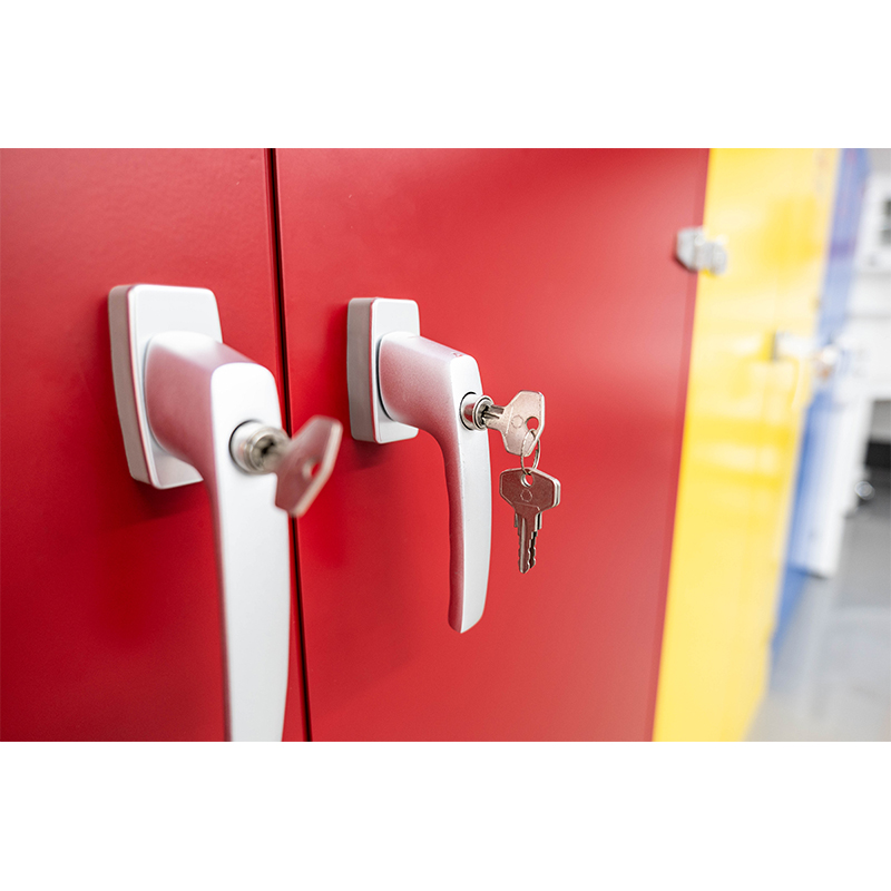 Wanshulin Double Door Flammable And Explosive Safety Cabinet