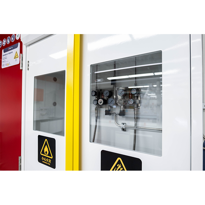 Wanshulin Laboratory All-Steel Gas Cylinder Cabinet