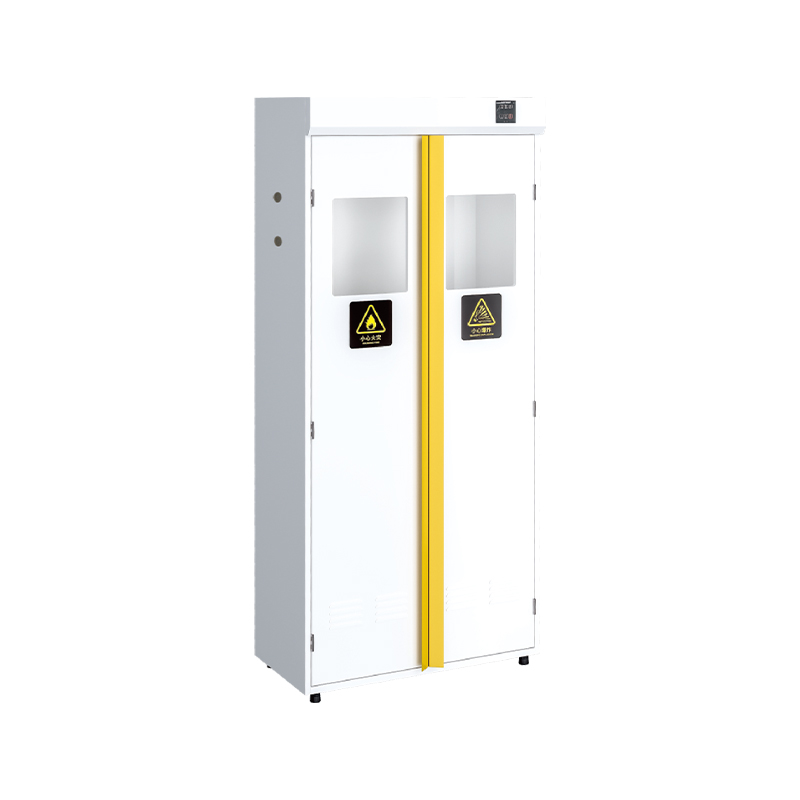 Wanshulin Laboratory All-Steel Gas Cylinder Cabinet